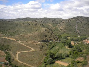 DSCN0151